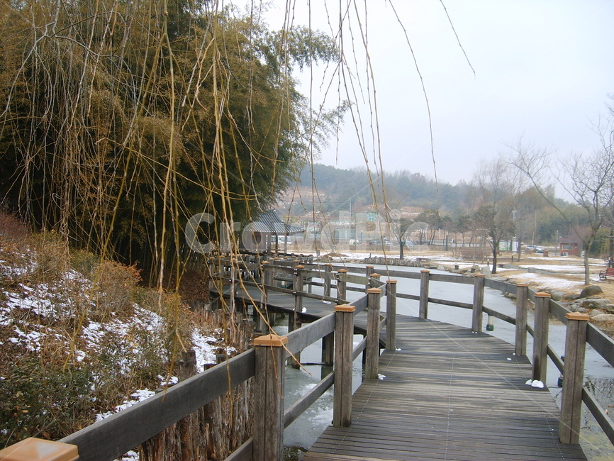 대나무,숲,다리,호수,산책