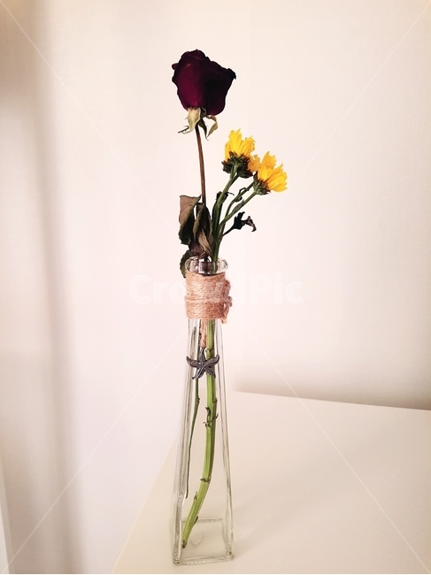 튤립,꽃장식,빨강튤립,꽃,말린꽃,꽃병,red,yellow,빨강,노랑,초록,flower,장식,인테리어,생각,기억,추억