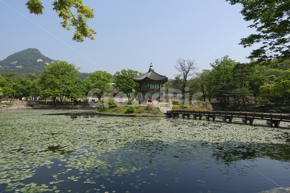 경복궁,한옥,한국,풍경,연못,궁,한국궁