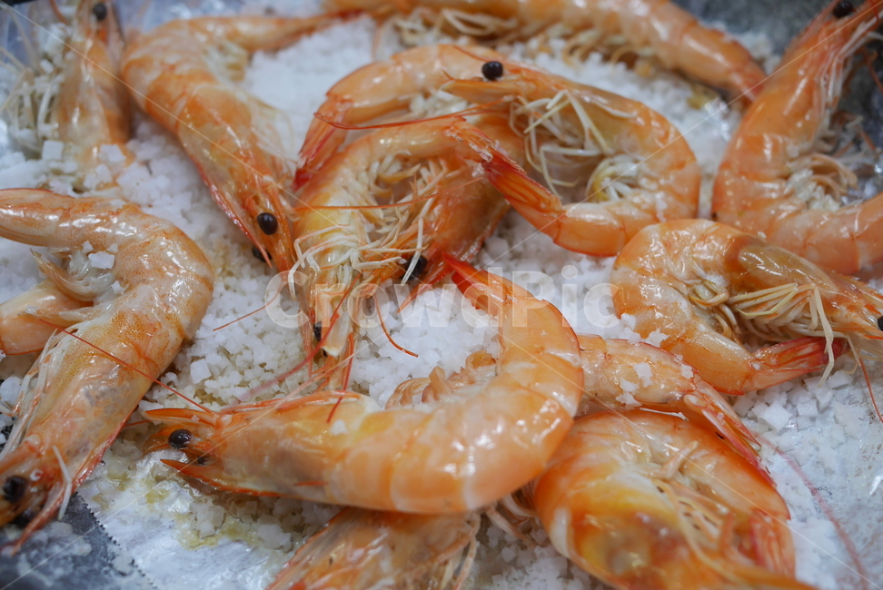 새우,새우구이,대하,대하구이,새우소금구이,해산물,음식,식재료,요리,food,cook,meal,dishes,food reserves,수산물,해산물,fishery products,seafood