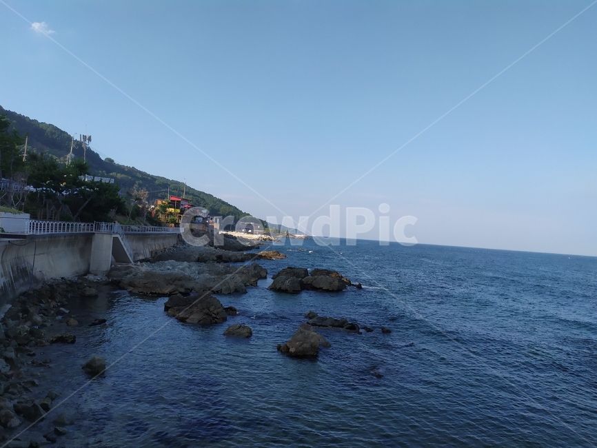 영덕,바다,해변,경치,자연