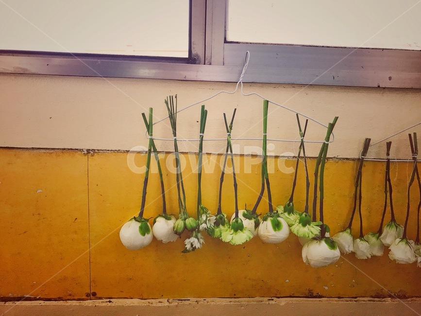 꽃,말리기,꽃말리기,감성,빈티지,하얀꽃,웨딩부케,식물,자연,plants,nature,꽃,flower