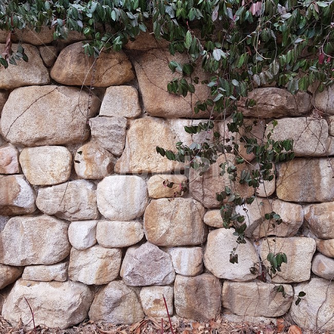 wall,벽,stonewall,돌담,rubble,파편,walkway,보도,path,통로,담쟁이,넝쿨,담벼락