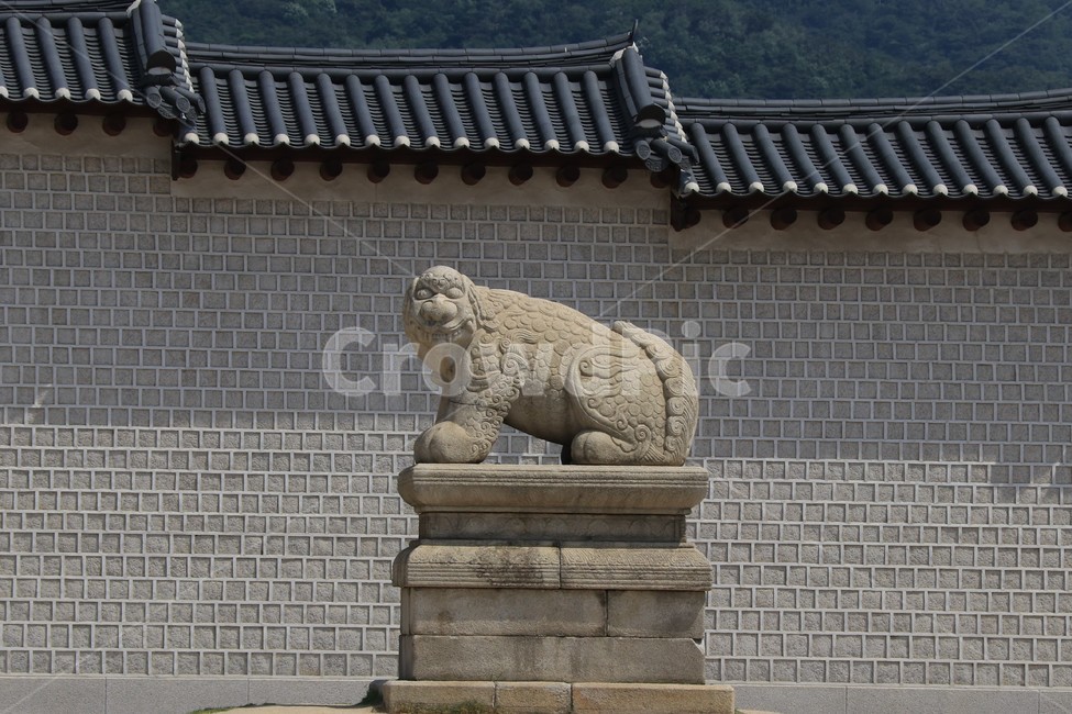 동물,lion,해태,광화문,조형물,작품,한국전통,한국문화,korean traditional,korean culture,조각상,동상,석상,조형물,statue,bronze statue,stone statue