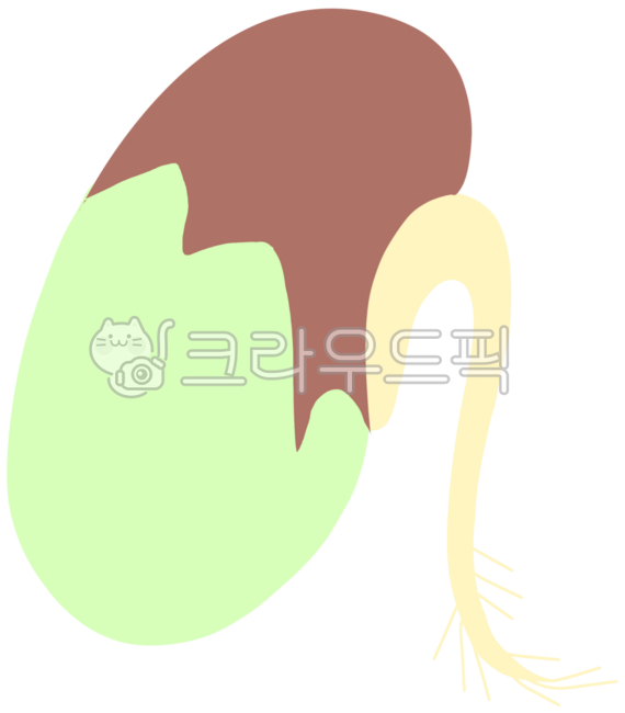 씨앗, 씨앗일러스트, 씨앗디자인, 씨앗이미지, 씨앗꾸미기, 사진,이미지,일러스트,캘리그라피 - junghuhab작가