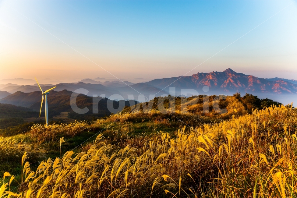 풍력발전,자연풍경,억새,아침,일출,가을,계절,fall,autumn,season,자연,풍경,nature,landscape,산업,industry,industrial,에너지산업,energy industry,mountain range,산맥,outdoors,옥외,mountain,산,plant,식물,grass,잔디