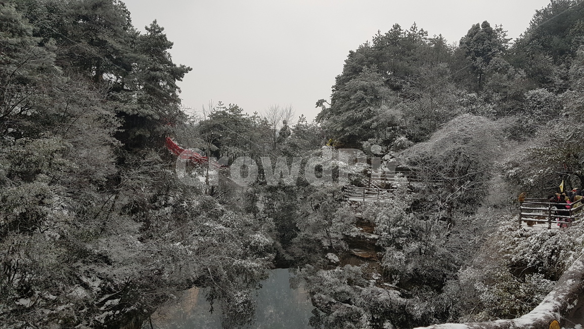 중국장가계,겨울,숲,아름다움,추운곳,겨울,계절,winter,season,자연,풍경,nature,landscape,해외,외국,세계,foreign,oversea,world,세계자연풍경,해외자연풍경,외국자연풍경,world nature landscape,tree,나무,plant,식물,abies,아비,fir,전나무