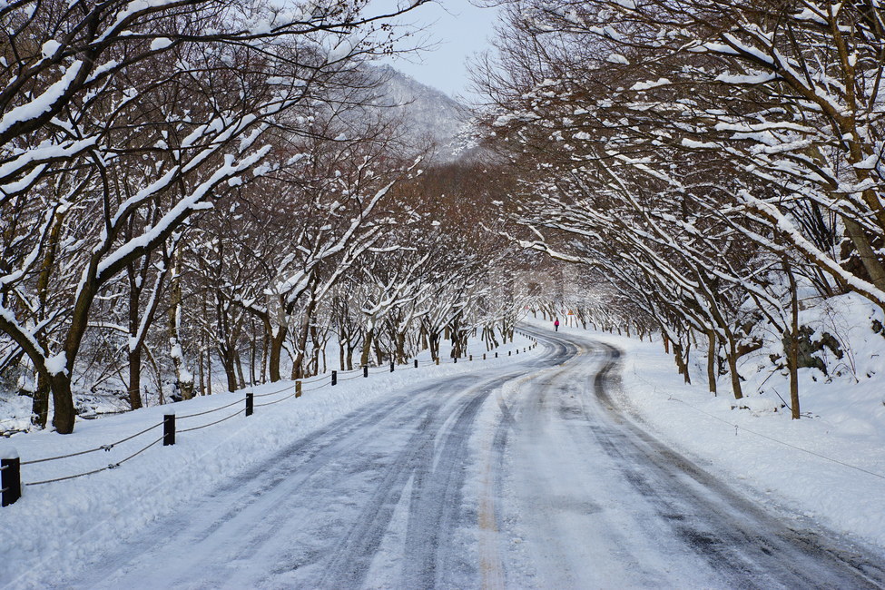 내장산,도로,설경,길,국립공원,겨울,계절,winter,season,자연,풍경,nature,landscape,outdoors,옥외,storm,폭풍,snow,눈,blizzard,눈보라