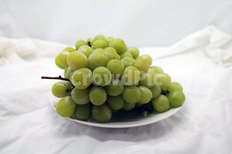 포도,grape,fruit,과일,머스켓,청포토,muscat,접시,과일,열매,fruit