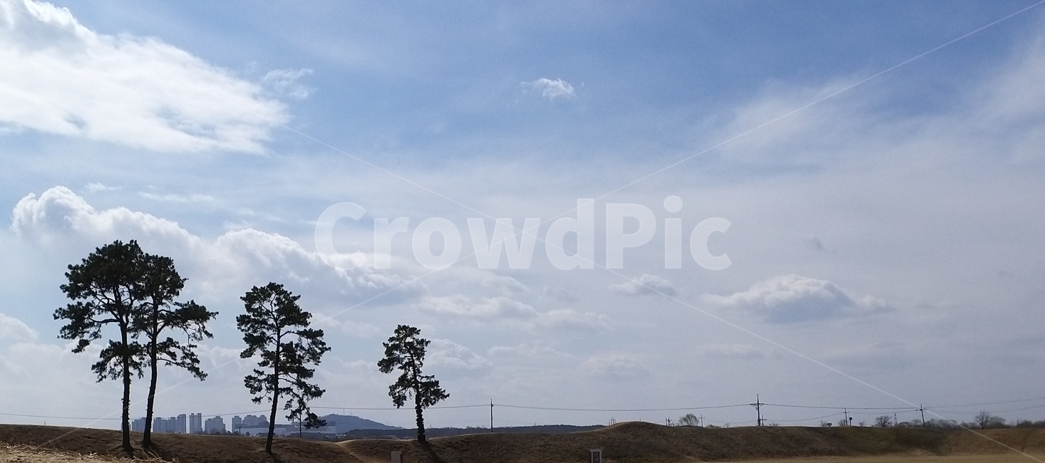 감성,느낌,야외,풍경,outdoors,옥외,nature,자연,field,들,grassland,목초지,식물,tree,나무