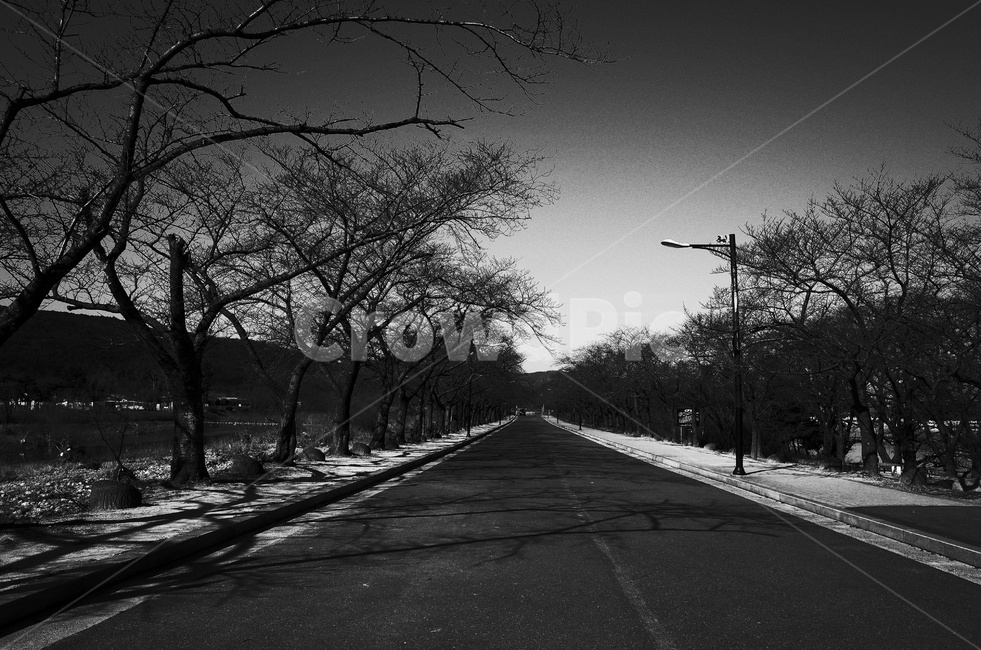 road,도로,asphalt,아스팔트,텅빈,way,길