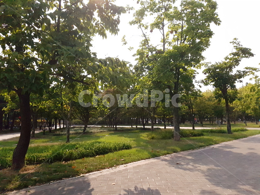 산책로,공원,공원산책길,눈부신햇살,화창한날씨