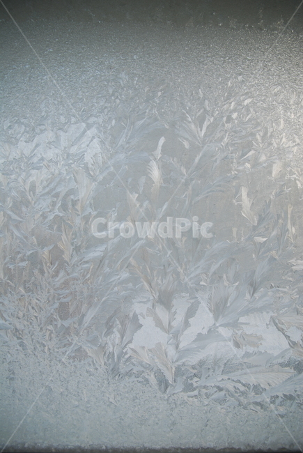 ice,빙,nature,자연,outdoors,유리창얼음,얼음,겨울,계절,winter,season