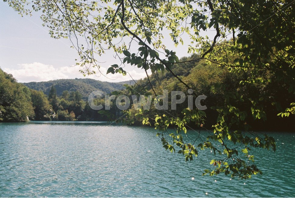 nature,자연,water,물,outdoors,옥외,풍경