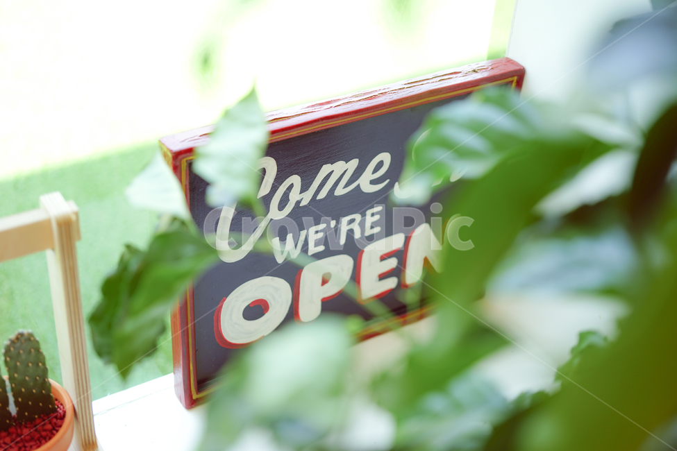 카페,나무액자,open,나무,선인장