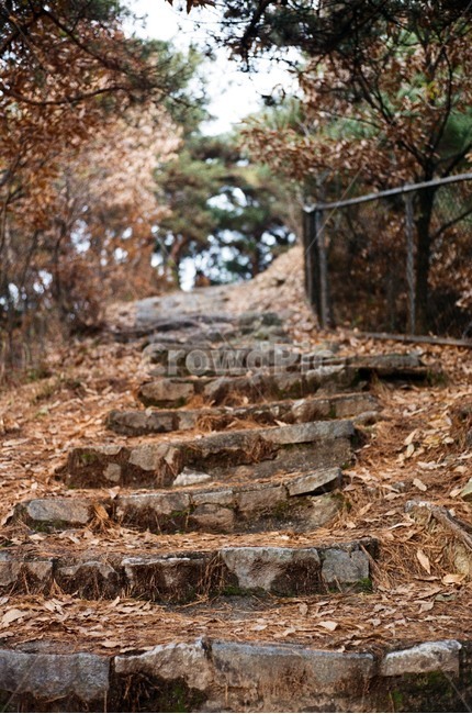 산,계단,등산,단풍,돌,mountain,가을,계절,fall,autumn,season,ground,바닥,soil,흙