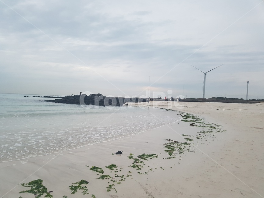 제주도,바다,해수욕장,길,풍경