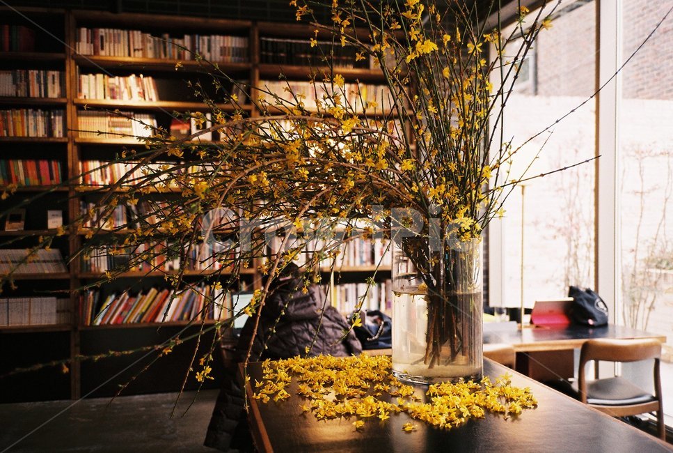 꽃,통유리,노랑꽃,노란꽃,책,서재,인테리어,실내디자인,interior design