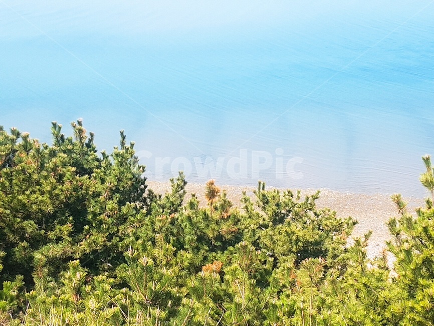 바다,물,sea,섬,초목,자연,풍경,nature,landscape