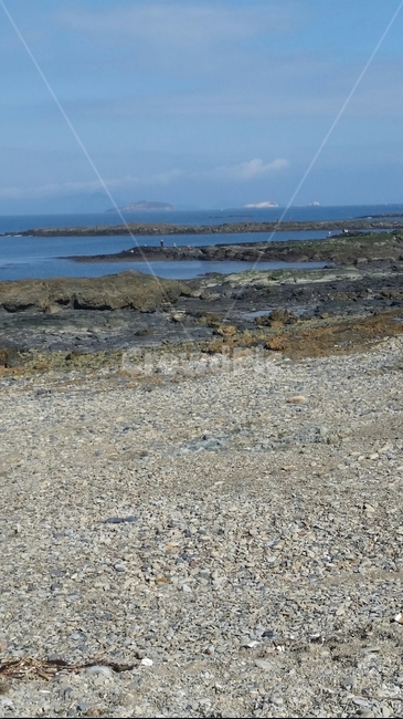 여름,해변,자갈,모래,자연,자연,풍경,nature,landscape,해변,바다,beach,sea,dirt road,흙길,gravel,road,도로,ground,바닥