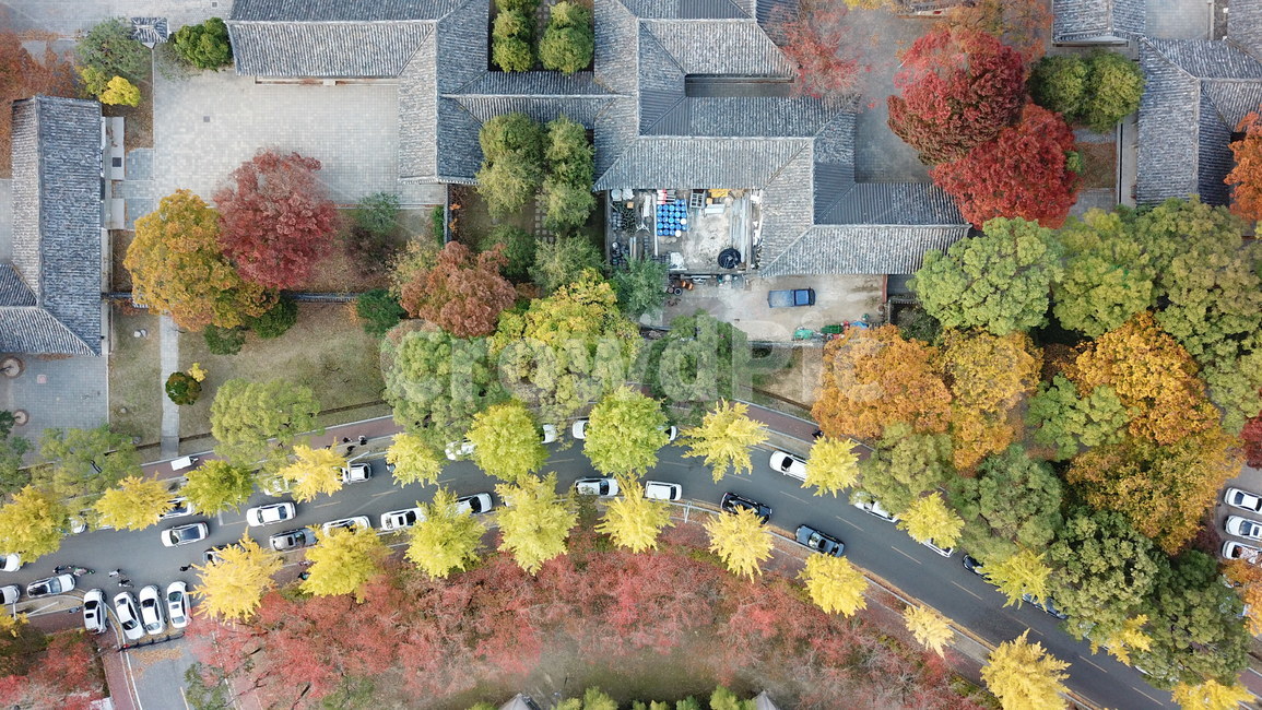 가을경주,가을,경주,드론사진,항공사진,단풍,가을,계절,fall,autumn,season,교통,교통수단,traffic,transportation,건축물,건물외관,exterior,building,structure,architecture,construction,landscape,경치,nature,자연,outdoors,옥외,scenery,풍경
