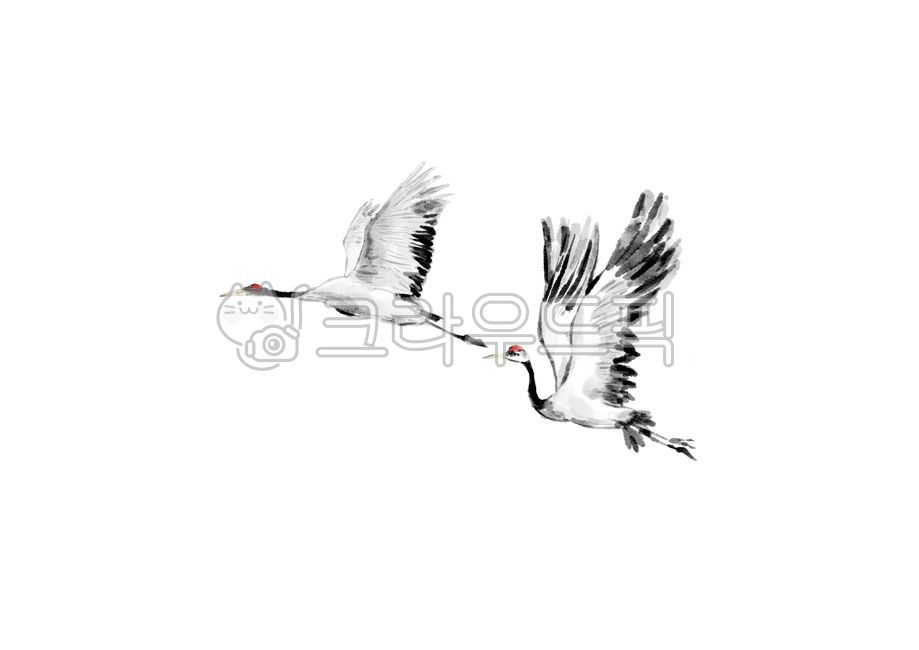 동양화,수묵화,수묵일러스트,동양화일러스트,학,학그림,학일러스트,먹그림,배,드로잉,미술,그림,조류그림,조류,날개,새,새그림