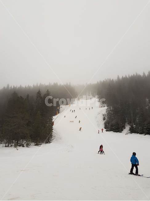 스키,산,겨울,스포츠,사람,자연,nature,person,ski,winter,mountain,안개,옥외,겨울,계절,winter,season