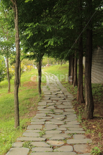 산책로,길,나무,오솔길,언덕,자연,풍경,nature,landscape,flagstone,판석,path,통로,walkway,보도