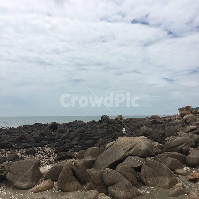 해수욕장,해변,바위,바닷가,갈매기,풍경,자연,자연,풍경,nature,landscape,rubble,파편