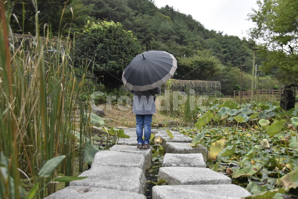 보도,슬레이트,우산,길,돌담길,사람,인물,인간,human,person,비,비오는날,rain,rainy