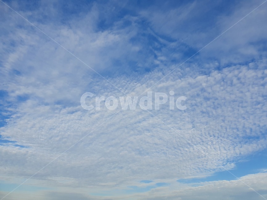 자연,푸른하늘,azuresky,조개구름,sky,자연,풍경,nature,landscape,outdoors,옥외,azure sky,푸른 하늘,하늘