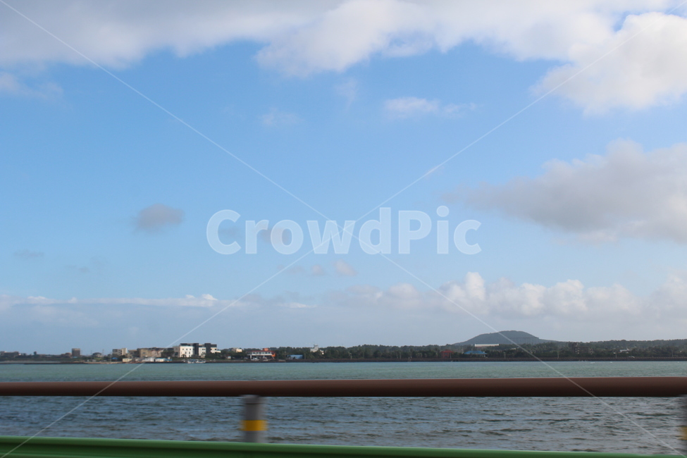 제주,제주도,바다,나무,야자수,여유로움,여유,nature,자연,outdoors,푸른하늘,sky,하늘,ocean,water,sea,물,날씨