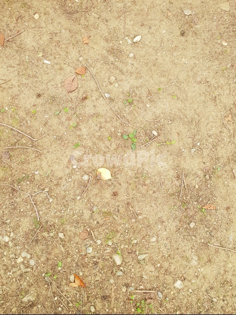흙,자연,자갈,편안함,힐링,황토색,텍스처,질감,패턴,texture,pattern