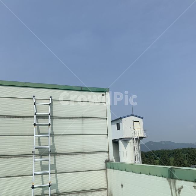 사다리,컨테이너,초록,하늘,감성