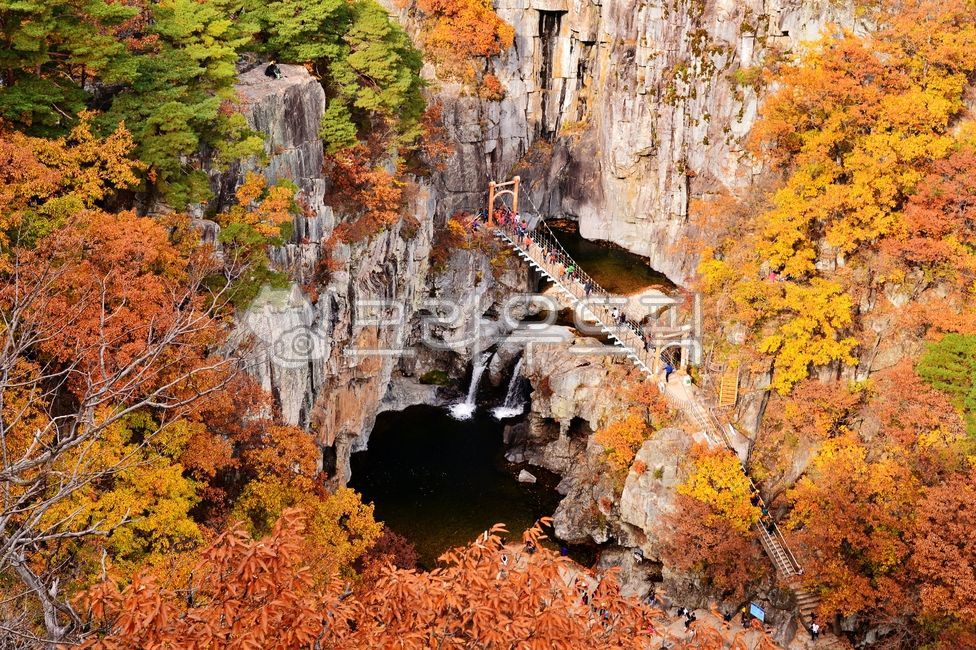 Mansan Red Leaves,nature,tree,Naeyeonsan Mountain,red,mountain,fall,waterfall,person,plant,Bogyeongsa County Park,autumn leaves,bridge,hiker