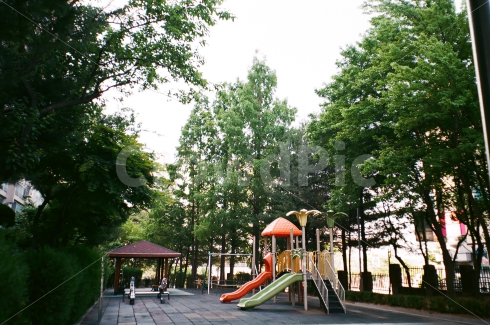 필름사진,필름,놀이터,여름,초록,아날로그,감성,일상,산책,동네,알록달록,6월,film,green,fuji,walgreen,walk,iso200,35mm,여름,계절,summer,season,감성,sensible,feeling,놀이공원,놀이동산,놀이터,amusement park,playground