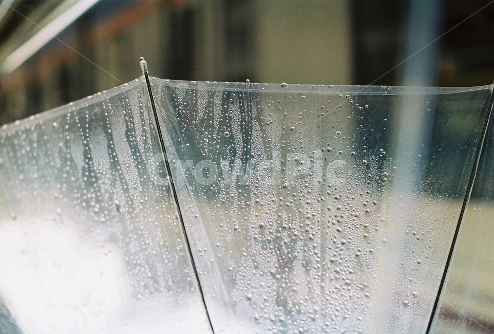 우산,비,rain,물방울,날씨