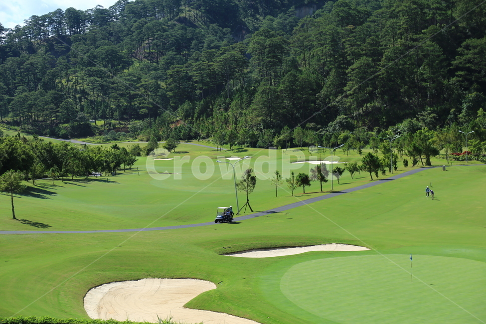 field,들,골프,골프코스,자연,golf,golfcoursenature