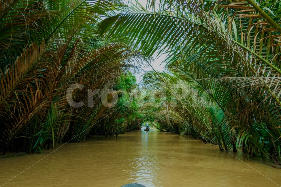 자연,풍경,베트남,메콩강,river,자연,풍경,nature,landscape,해외,외국,세계,foreign,oversea,world,water,물,outdoors,옥외,land,땅