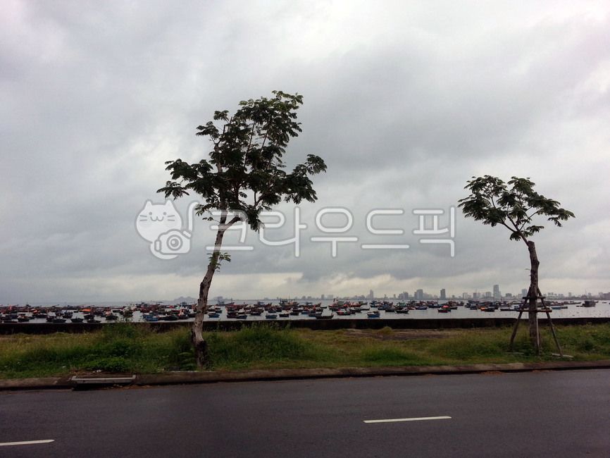 야자나무,거리,하늘,도로,대만,palmtree,street,road,sky,아스팔트,asphalt,taiwan,cloud