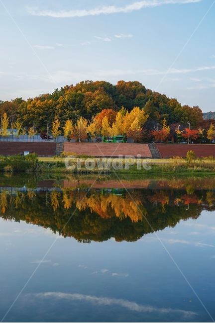 가을,단풍,반영,대전,갑천,자연,nature,단풍놀이,가을풍경,가을,계절,fall,autumn,season,자연,풍경,nature,landscape,water,물,outdoors,옥외