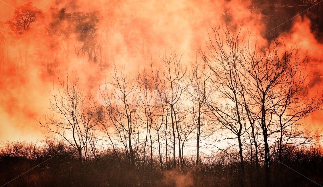 Gangwondo,water fog,Morning,Soyang River Dam,Soyangho