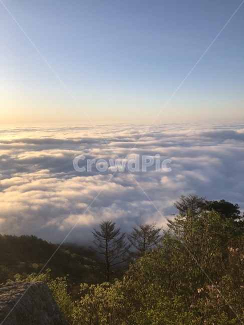 하늘,정상,구름,산,풍경
