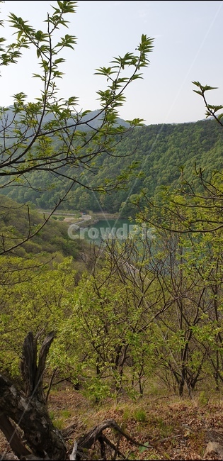 풍경,호수,산자연,나무강,공원