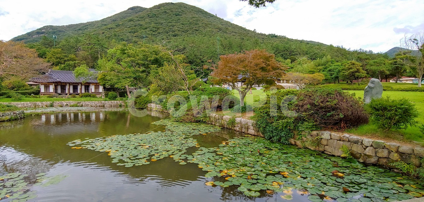 nature,자연,outdoors,옥외,water,물,한옥,한국적,정원,연못