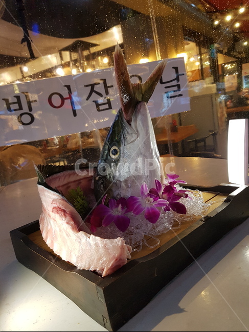 물고기,회,생선,날것,방어,수산물,해산물,fishery products,seafood