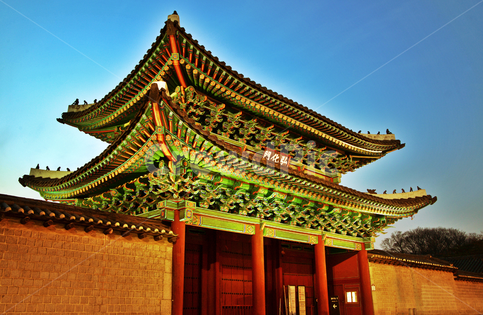 홍화문,창경궁,보물제384호,궁궐,전각,궁궐문,궁문,조선시대,야경