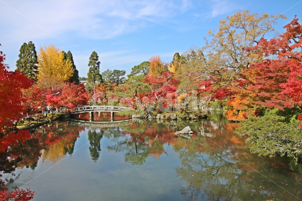 단풍,maple,mapletree,단풍나무,가을단풍,가을,계절,fall,autumn,season,자연,풍경,nature,landscape,해외,외국,세계,foreign,oversea,world,세계자연풍경,해외자연풍경,외국자연풍경,world nature landscape,tree,나무,plant,식물,water,물