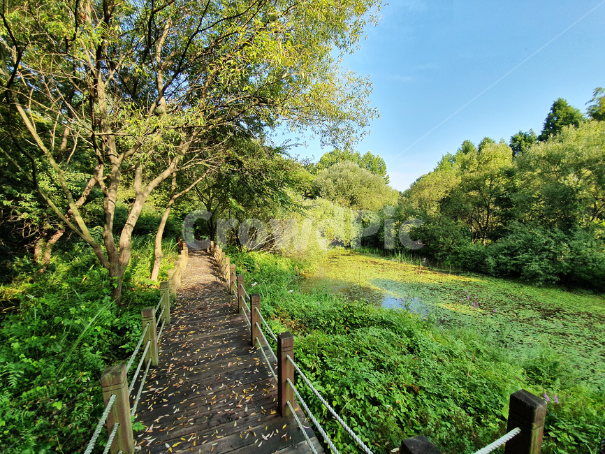 공원,산책,산책길,자연,풍경,나무,호수,습지,식물,하늘,경치,outdoors,옥외,park,graden,nature,tree,walk,stroll,자연,풍경,nature,landscape