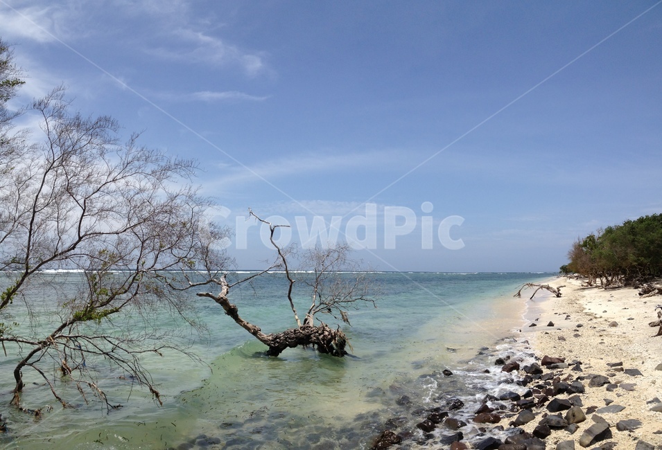 길리,바다,나무,하늘,gili,sea,tree,sky,seaandtrees,고즈넉